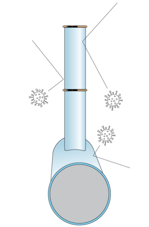 Illustration of virus resistant ducts